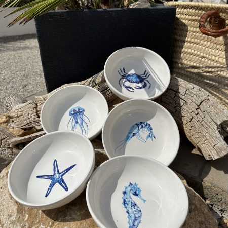 Keramik Flache Salatschalen Blau Weiß mit Motiv 💙